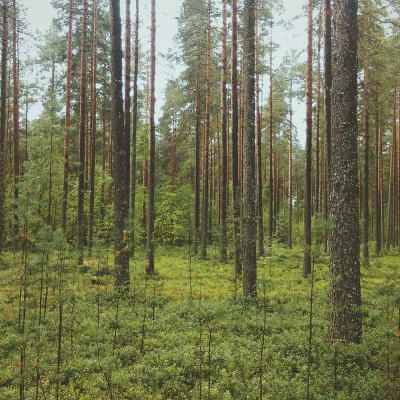Stardikomplekt